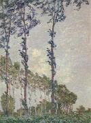 Claude Monet WInd Effect,Sequence of Poplars oil on canvas